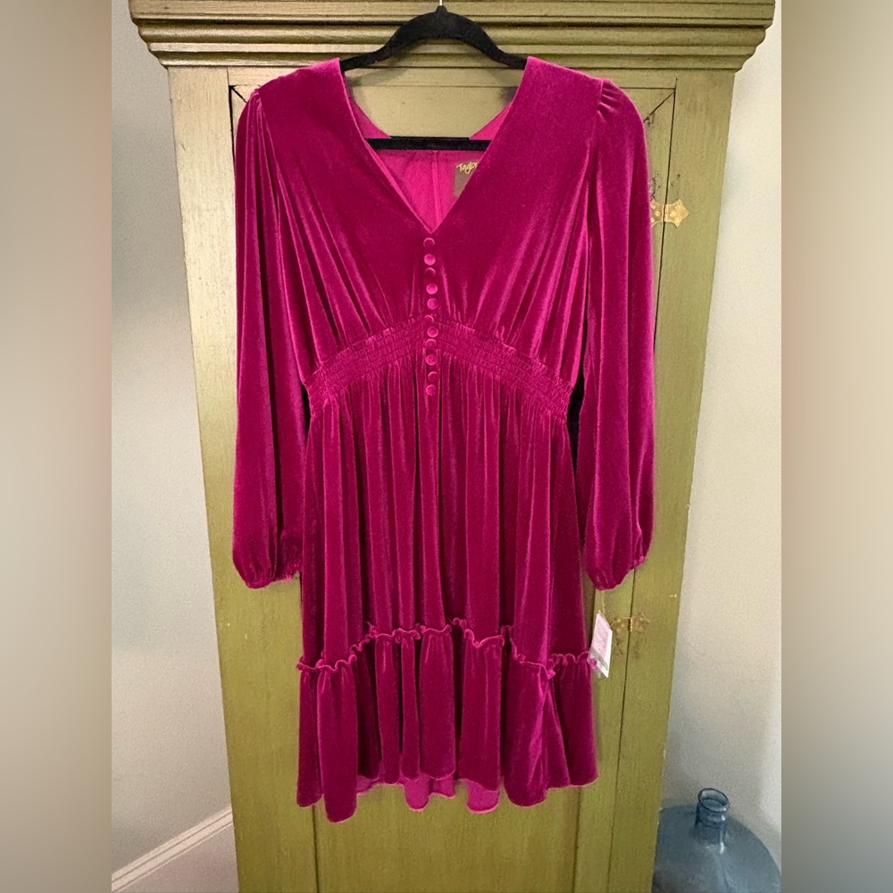 Taylor Fuchsia Velvet Dress